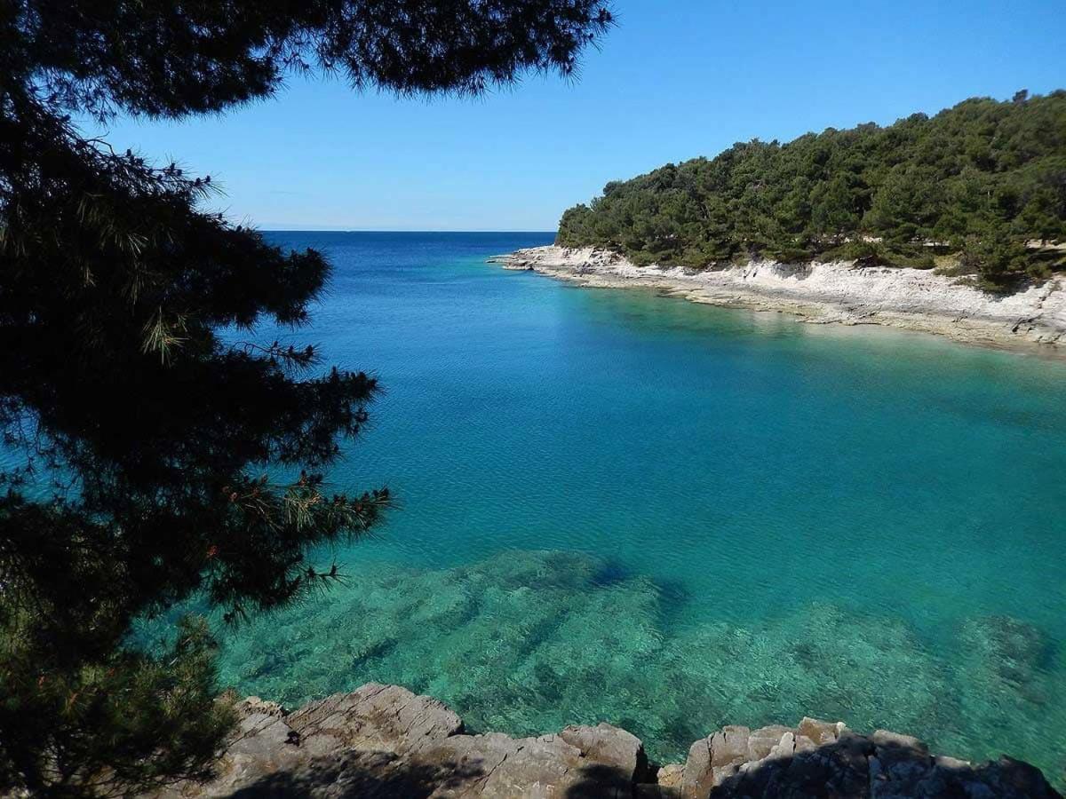 Casa Grotta Istriana Mit Neu Pool Near Center In Pula Villa Dış mekan fotoğraf